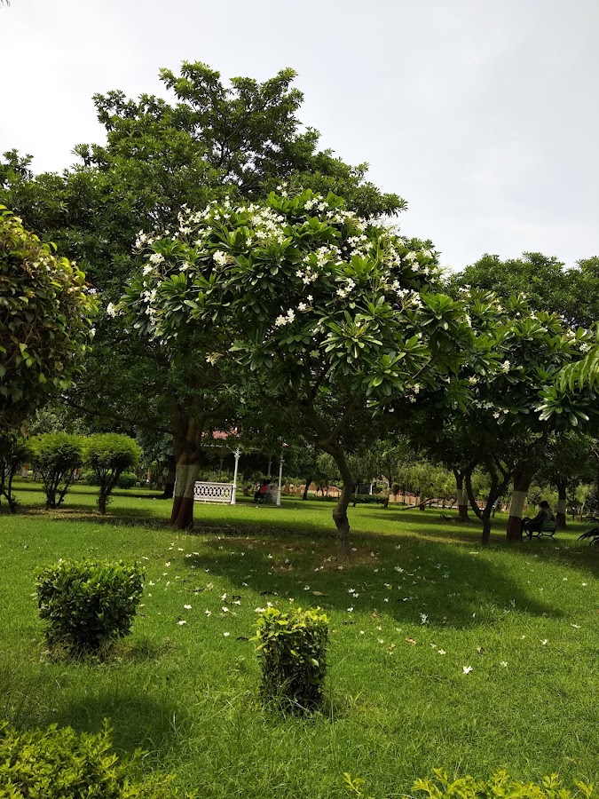 Swarna Jayanti Park photo 6
