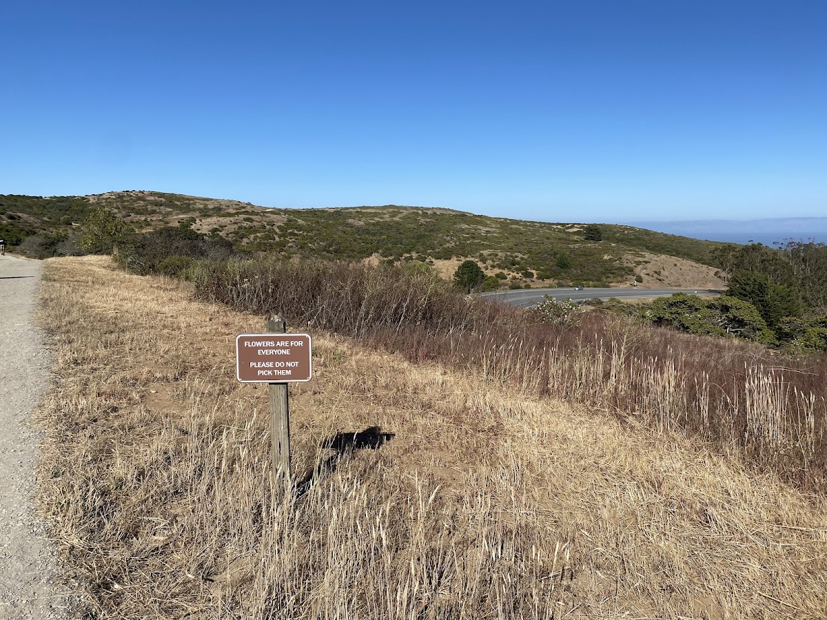 San Bruno Mountain State Park photo 5
