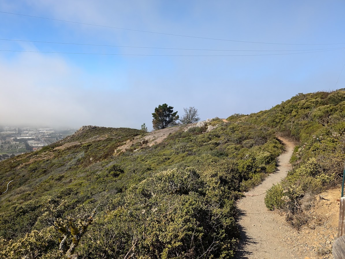 San Bruno Mountain State Park photo 6