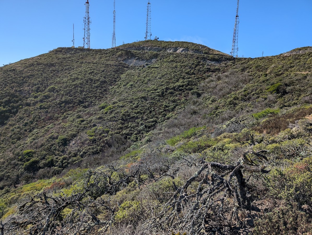 San Bruno Mountain State Park photo 8