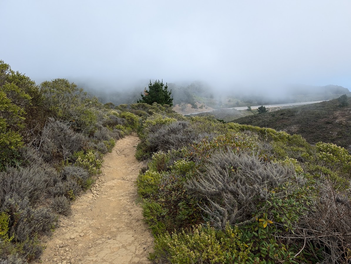 San Bruno Mountain State Park photo 10