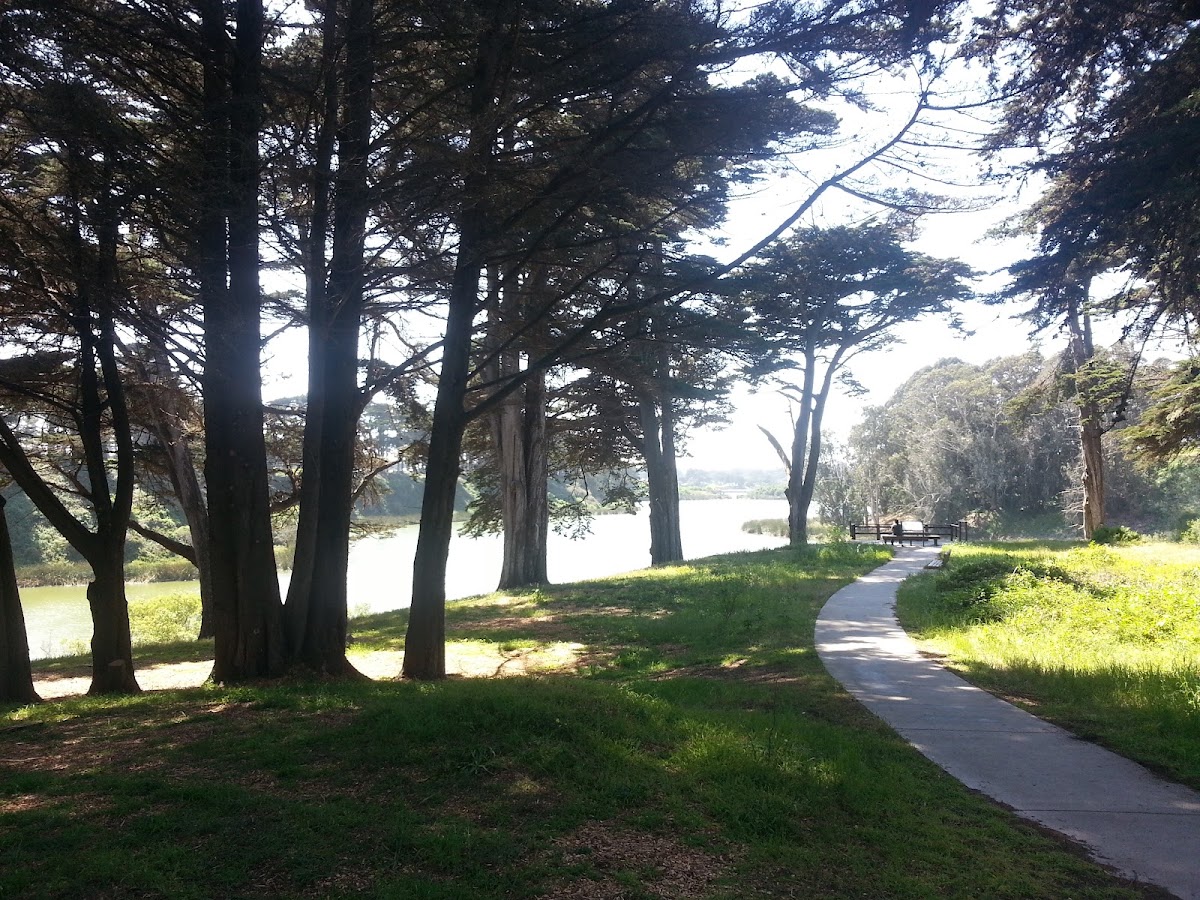 Lake Merced Park photo 6