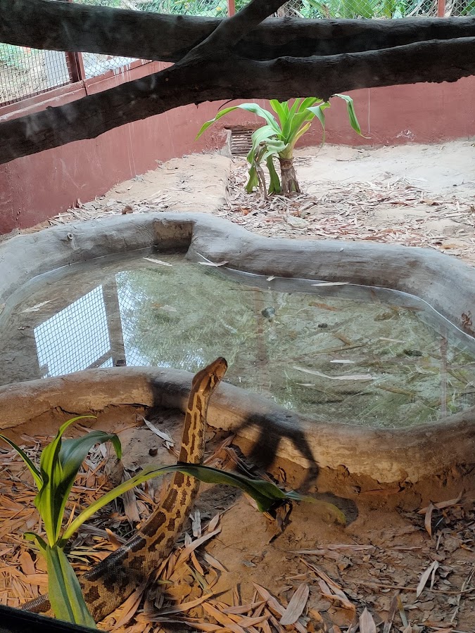 Sundarvan photo 7