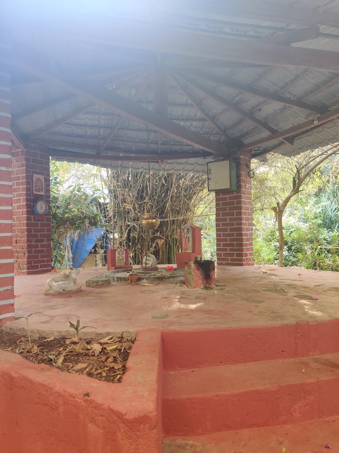 Sundarvan photo 9