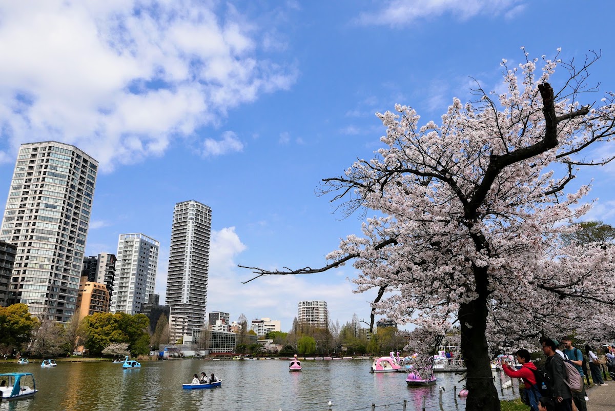 Ueno Park