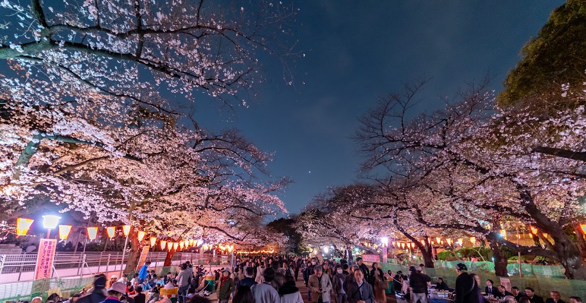 Ueno Park photo 2