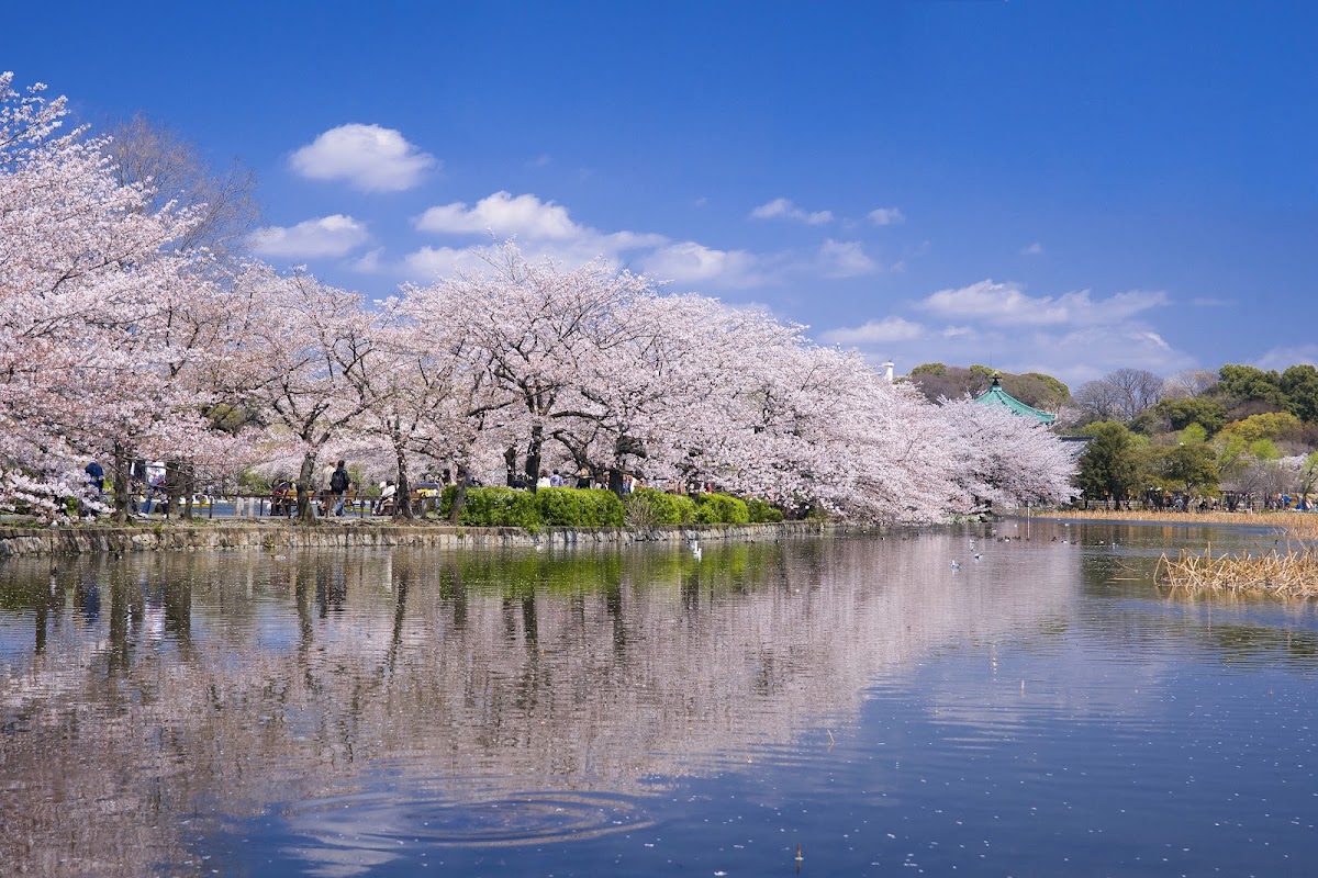 Ueno Park photo 3