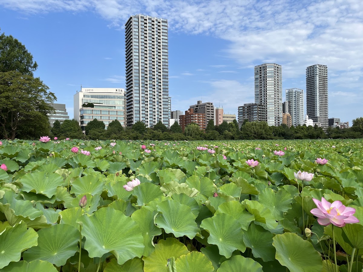 Ueno Park photo 4