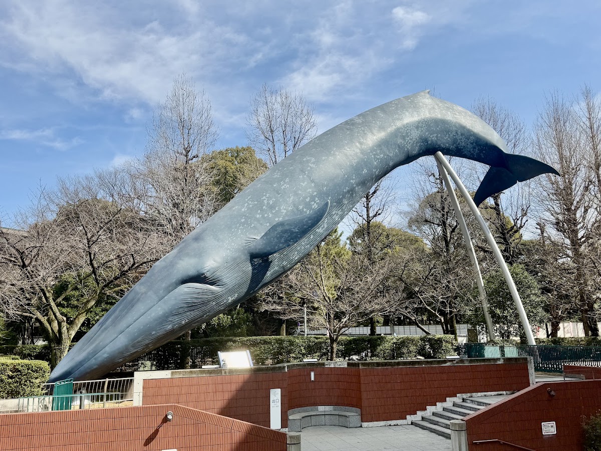 Ueno Park photo 5