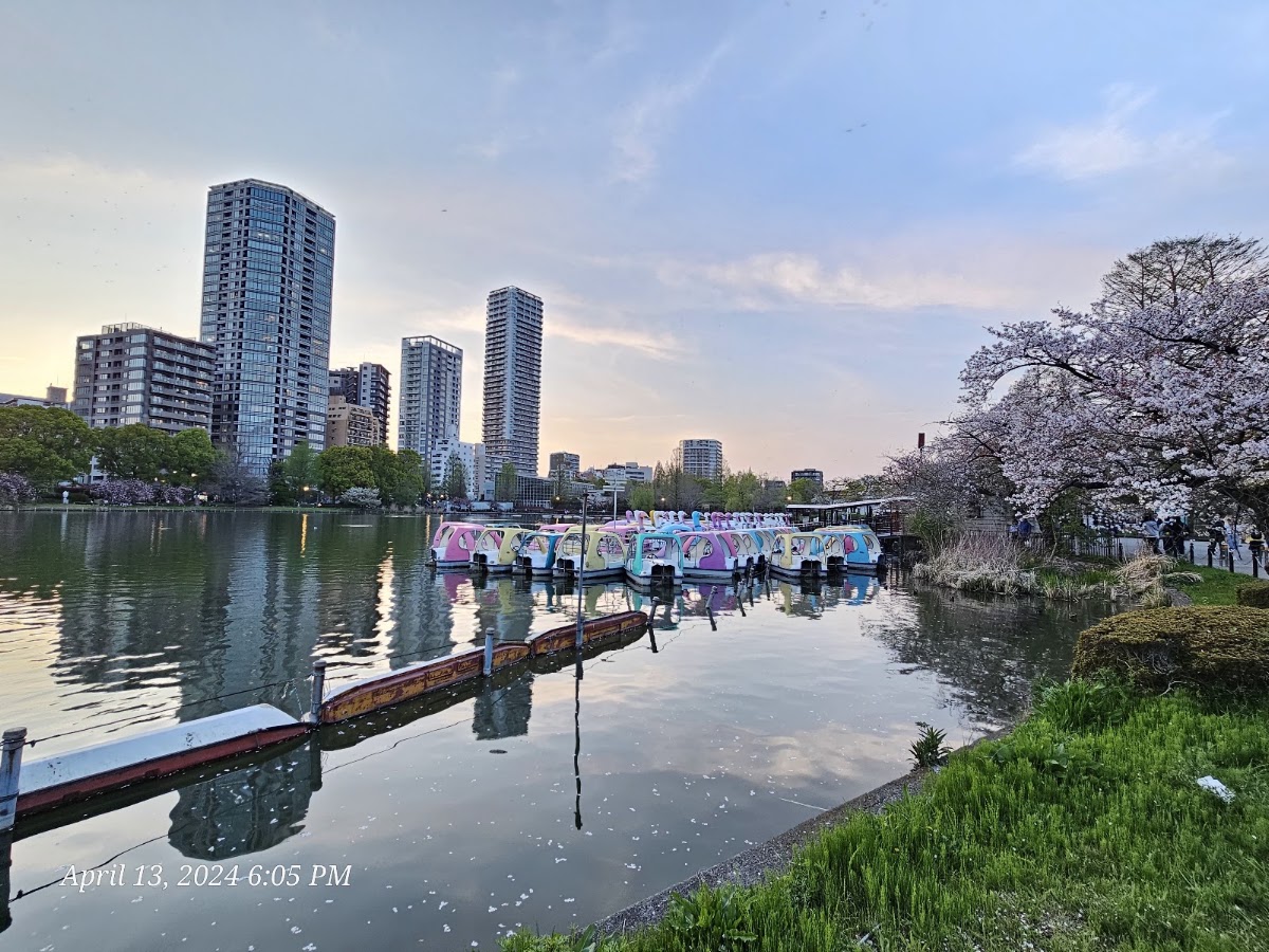 Ueno Park photo 8
