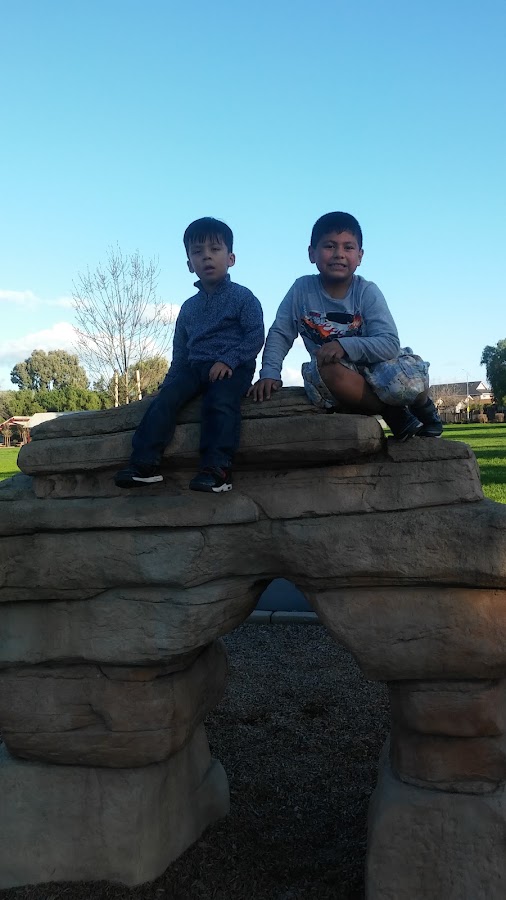 Pinewood Park photo 8