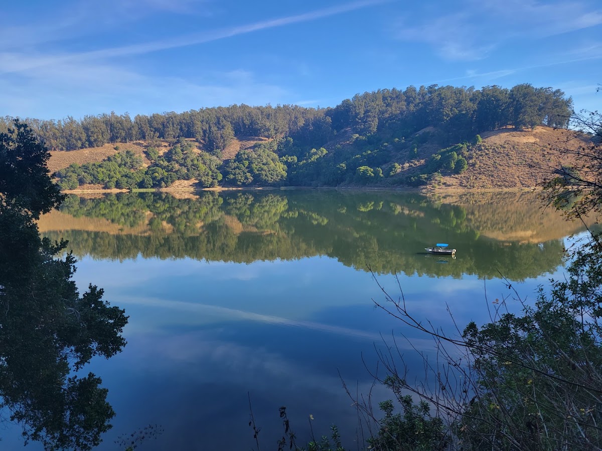 Don Castro Regional Recreation Area photo 4
