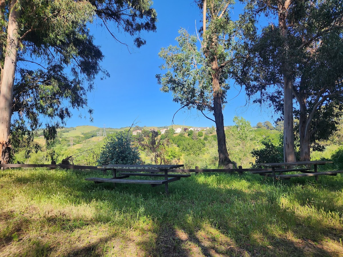 Don Castro Regional Recreation Area photo 5