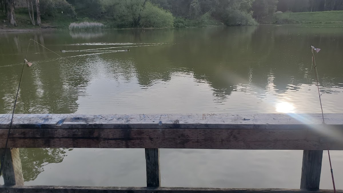Don Castro Regional Recreation Area photo 6