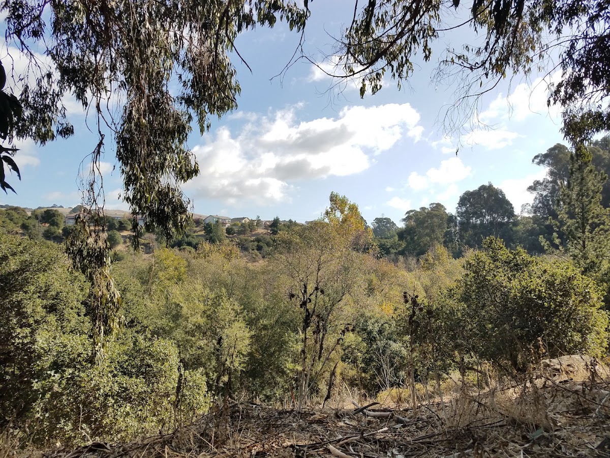 Don Castro Regional Recreation Area photo 7