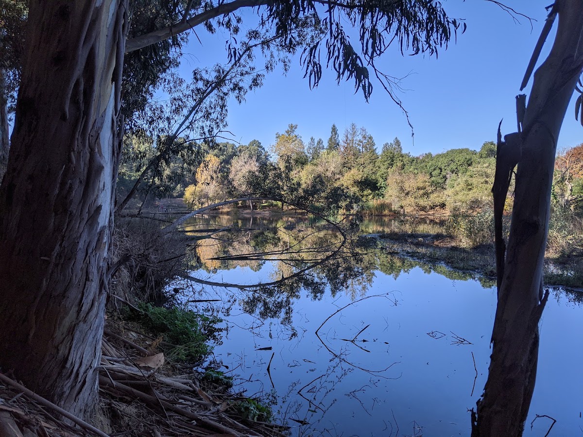 Don Castro Regional Recreation Area photo 9
