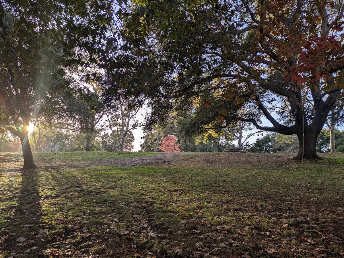 Don Castro Regional Recreation Area photo 10