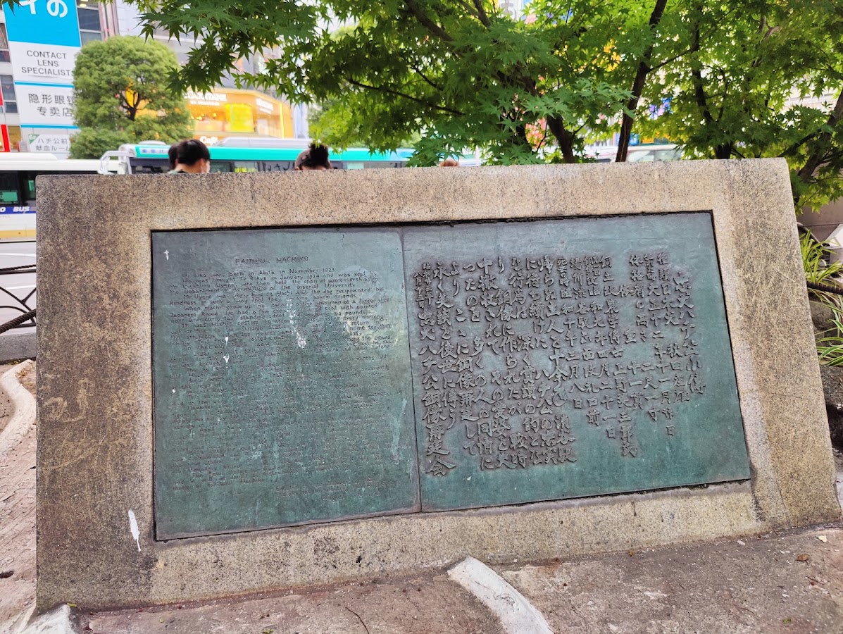 Hachiko Statue photo 5