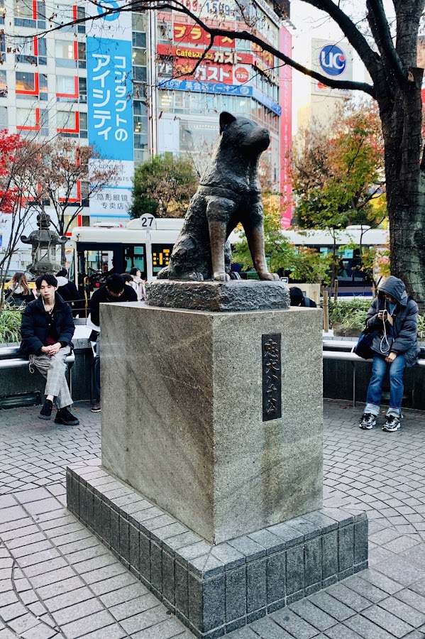 Hachiko Statue photo 6