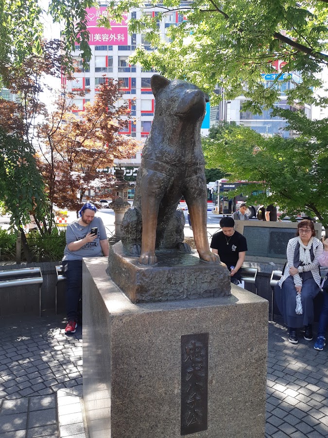 Hachiko Statue photo 7