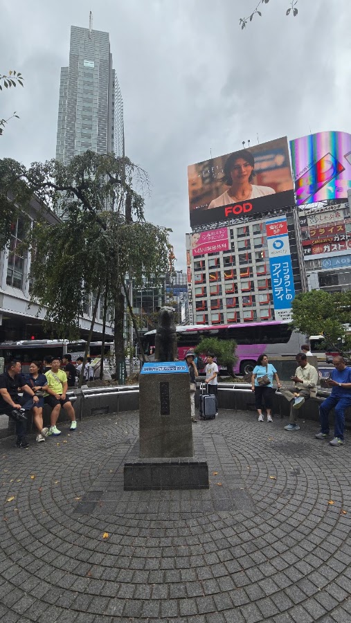 Hachiko Statue photo 10