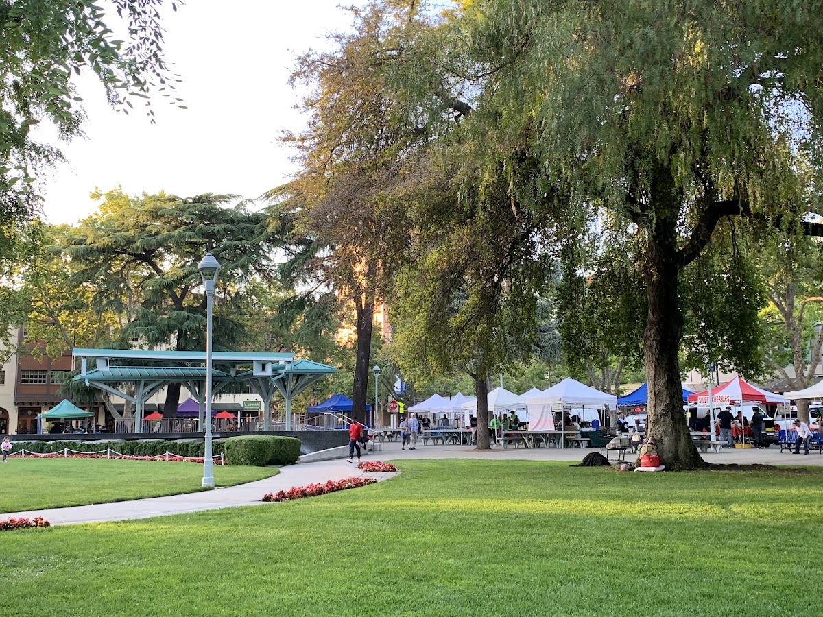 Todos Santos Plaza photo 3