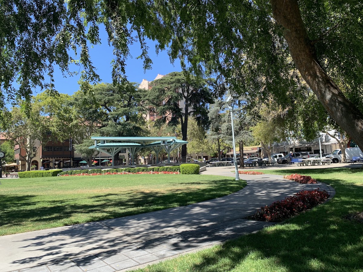 Todos Santos Plaza photo 6