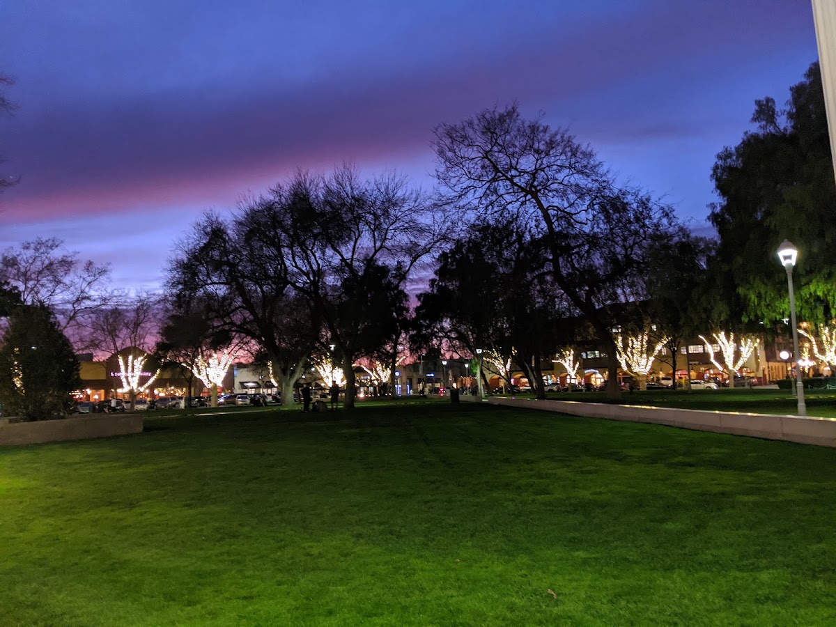 Todos Santos Plaza photo 10