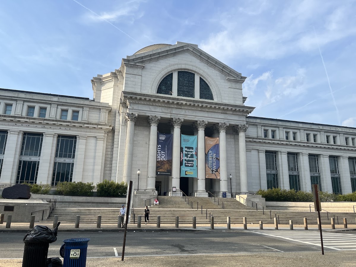 Smithsonian National Museum of Natural History photo 2