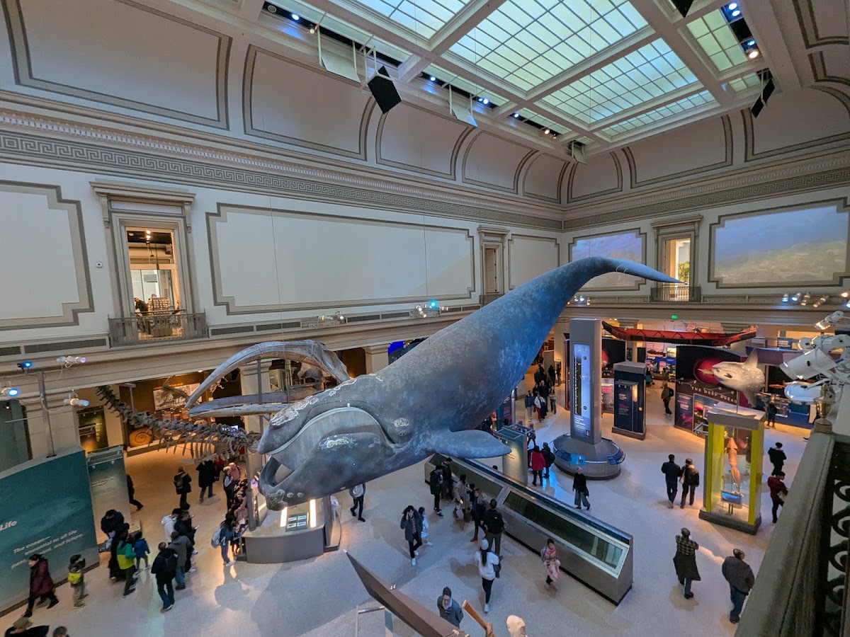 Smithsonian National Museum of Natural History photo 4