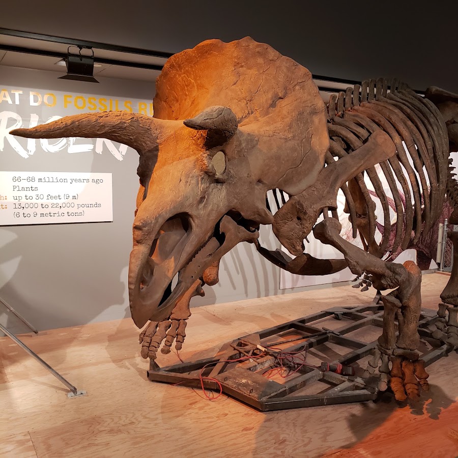 Smithsonian National Museum of Natural History photo 5