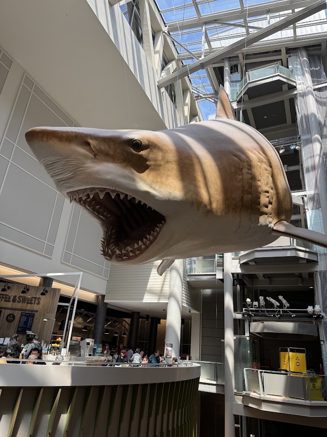 Smithsonian National Museum of Natural History photo 6