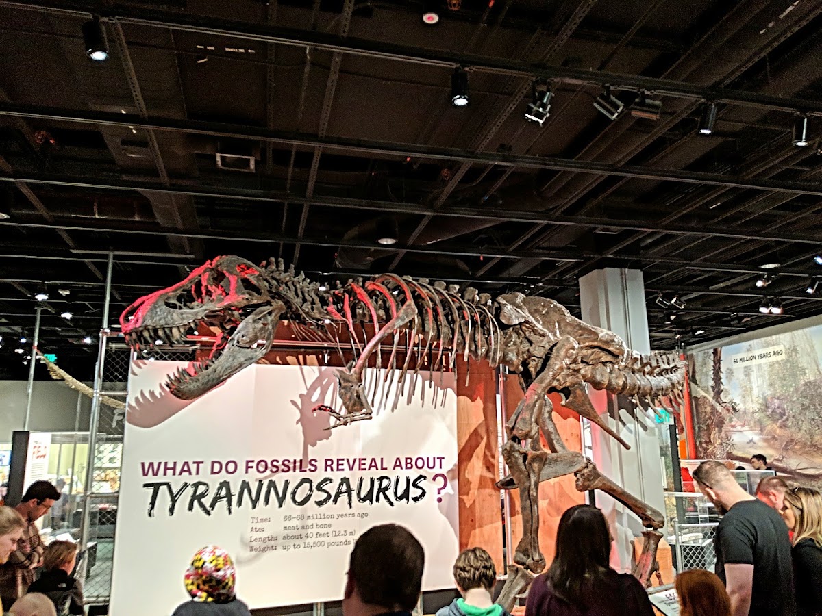 Smithsonian National Museum of Natural History photo 7