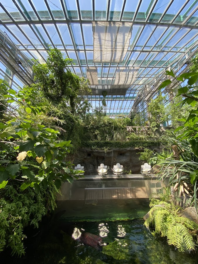 Adachi Park of Living Things photo 9