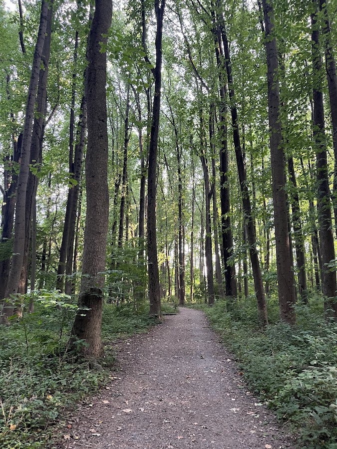 Nottoway Park photo 3