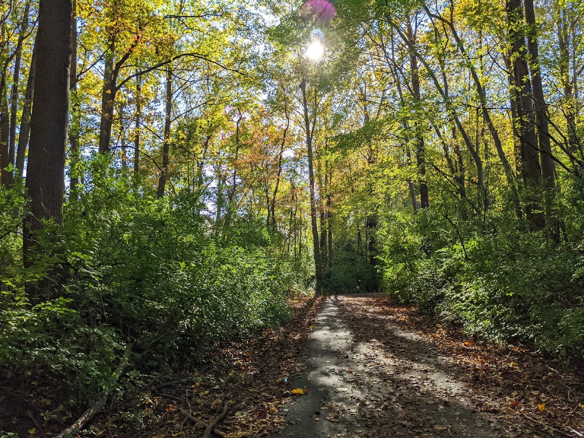 Nottoway Park photo 8