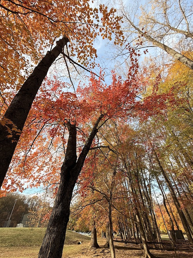 Nottoway Park photo 10