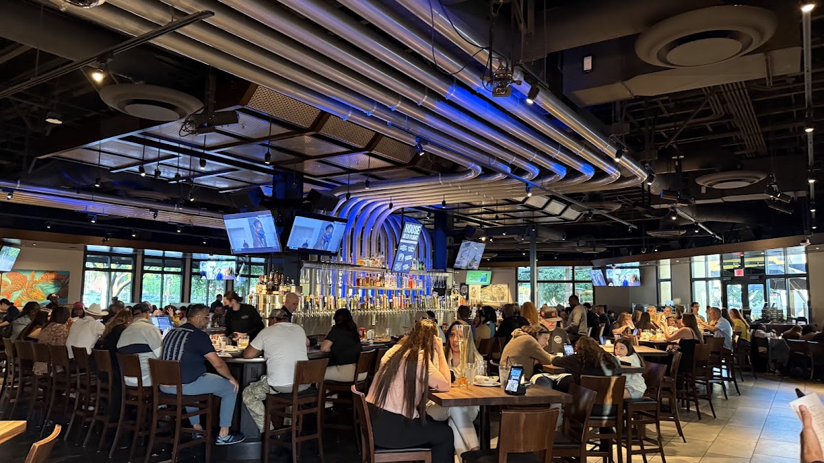 Yard House photo 8