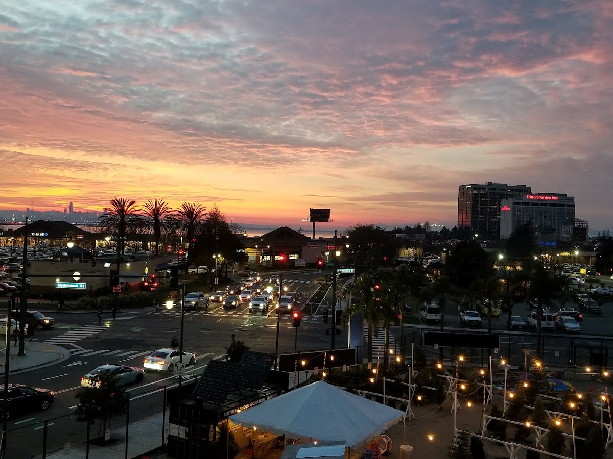 Hyatt Place Emeryville/San Francisco Bay Area photo 9