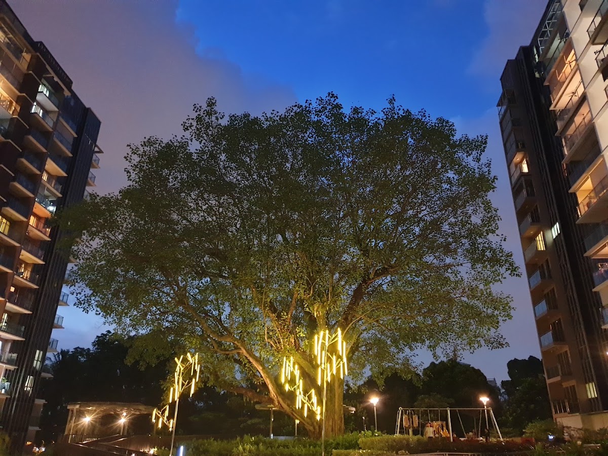 Bartley Residences photo 6